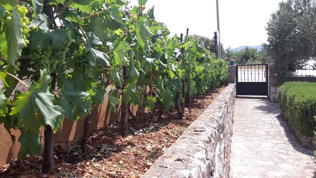 Amadrian Apartments Σίμπενικ Εξωτερικό φωτογραφία